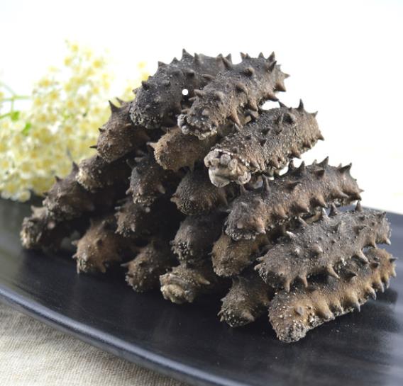 淄博大连海参